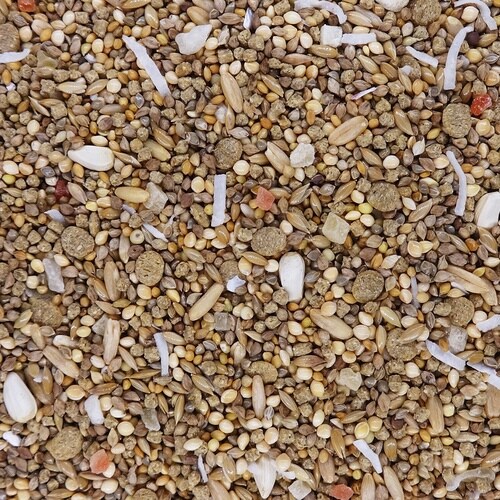 PRO ADVANCE セキセイインコ