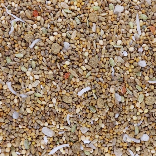 PRO ADVANCE ブンチョウ