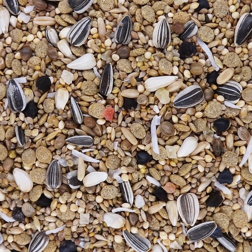 PRO ADVANCE オカメインコ