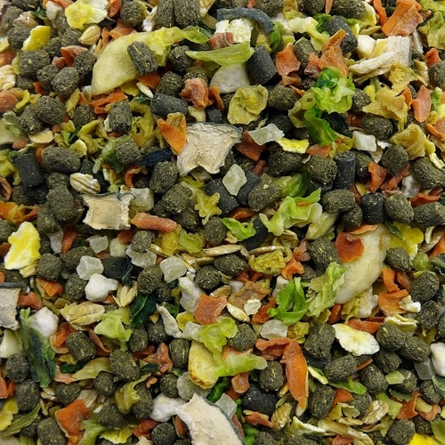 ギニーピッグテイストプラス