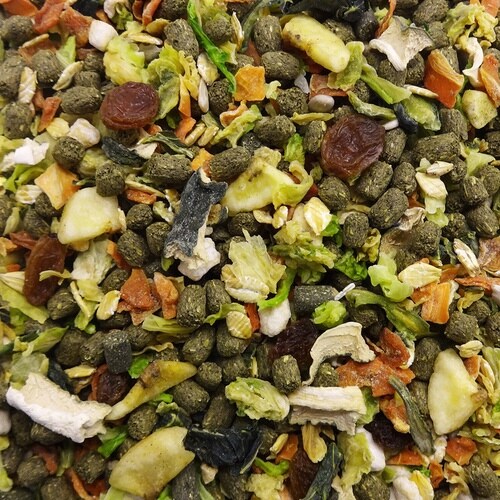 チンチラテイストプラス