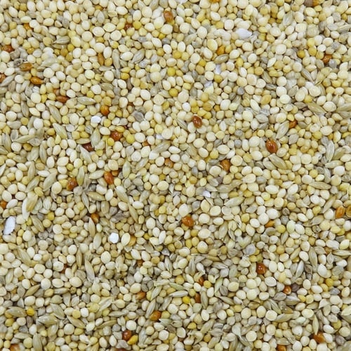 エクセル5 セキセイインコ 皮付き×2