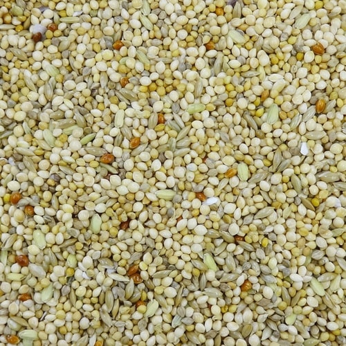 エクセル5 ブンチョウ 皮付き×2