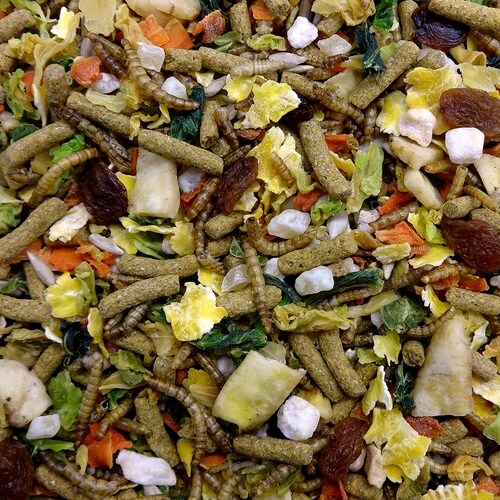 フクロモモンガテイストプラス