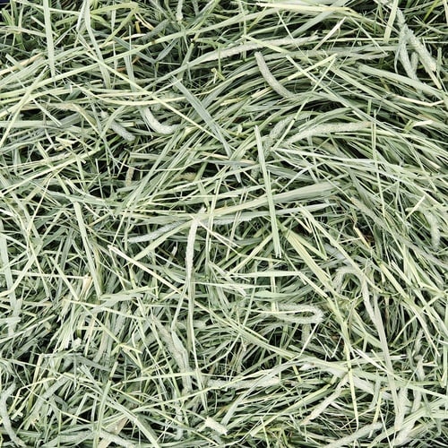 アニマルファーム おいしい牧草