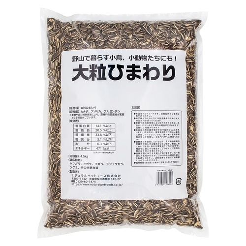 大粒ひまわり×3