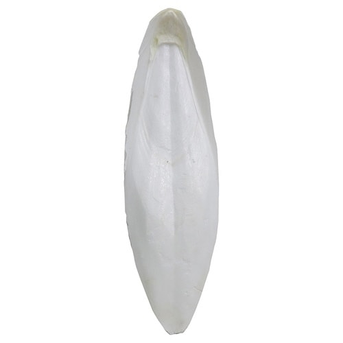 エクセル カトルボーン