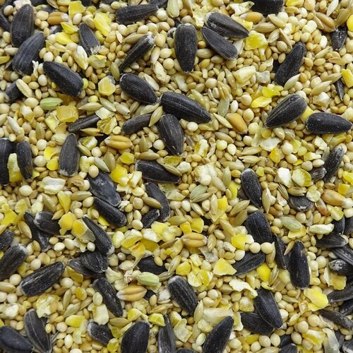 エクセル 野鳥のまき餌