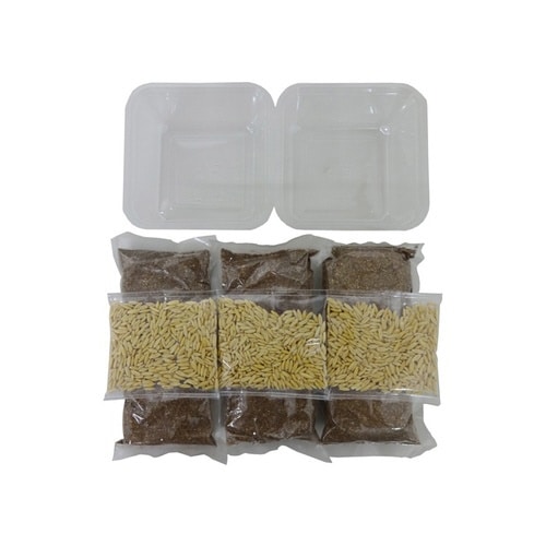 NyanTaste ねこ草ランド 栽培セ