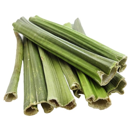 PRO スペシャリッシュ かじる青パパイ