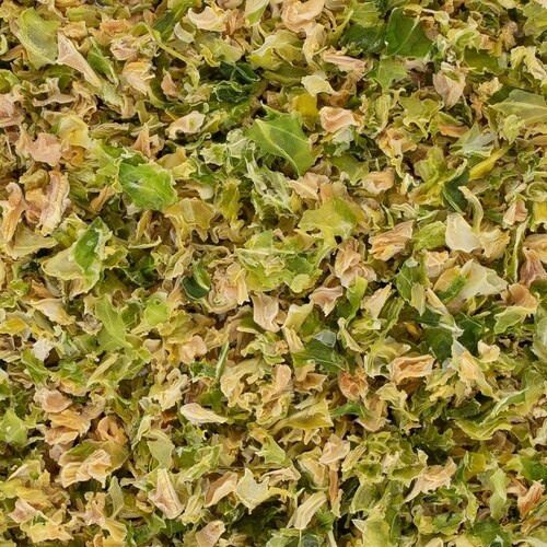 小動物のおいしいおやつ 国産キャベツ