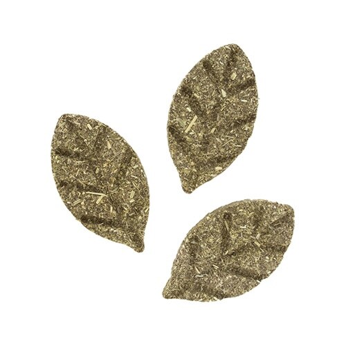 #ビットリーツ チモシークッキー タンポ