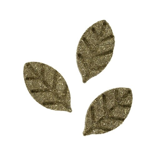 #ビットリーツ チモシークッキー 大麦若