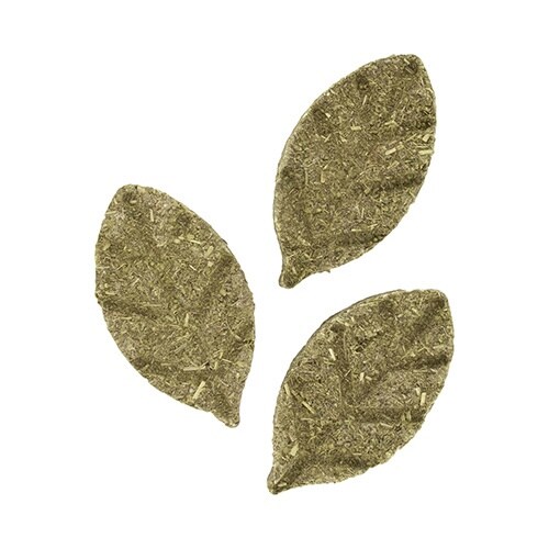 #ビットリーツ チモシークッキー 明日葉