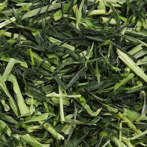 ハーティー大麦若葉