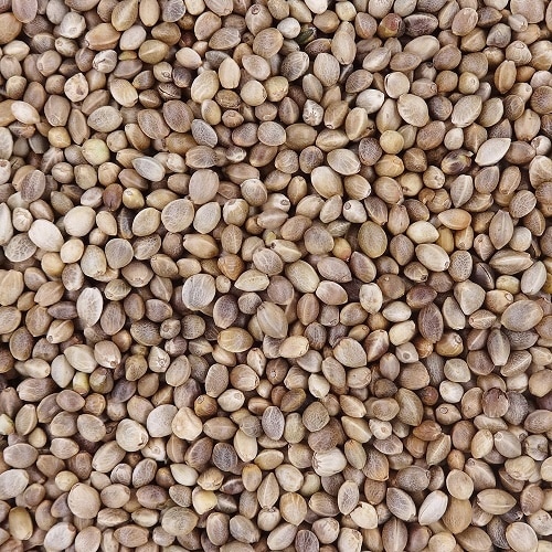 ナチュラルセレクト あさの実