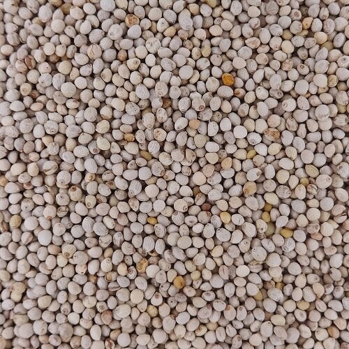 ナチュラルセレクト エゴマ