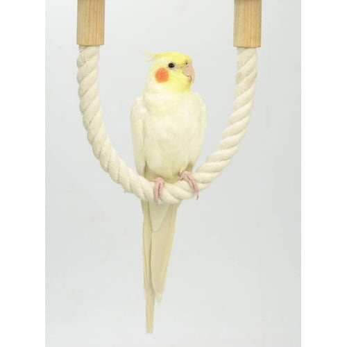 B42 ロープパーチ 40