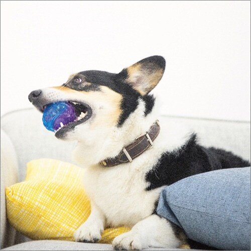 ギグウィ ボール