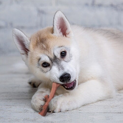 バムボーン レッグボーン チキン