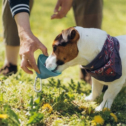 ドギーバディ ハンディーウォータラー ス