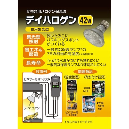 デイハロゲン 42W