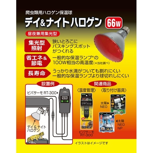 デイ&ナイトハロゲン 66W