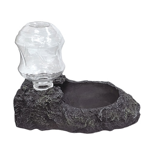 ボトルディッシュ