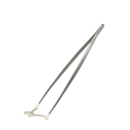 ピンセットバサミ草作