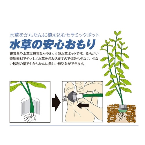 水草の安心おもり×2