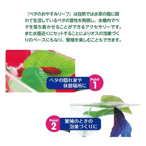 ベタのおやすみリーフ×2