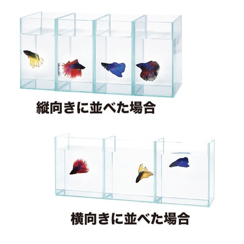 シューベタコレクションケース×2