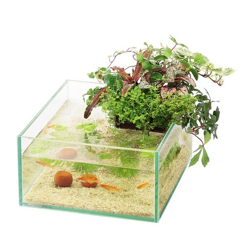 アクアテリアメダカ用KGN190