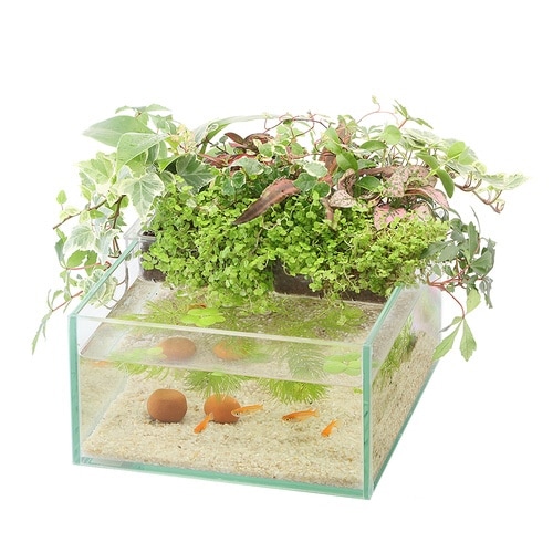 アクアテリアメダカ用KGN190