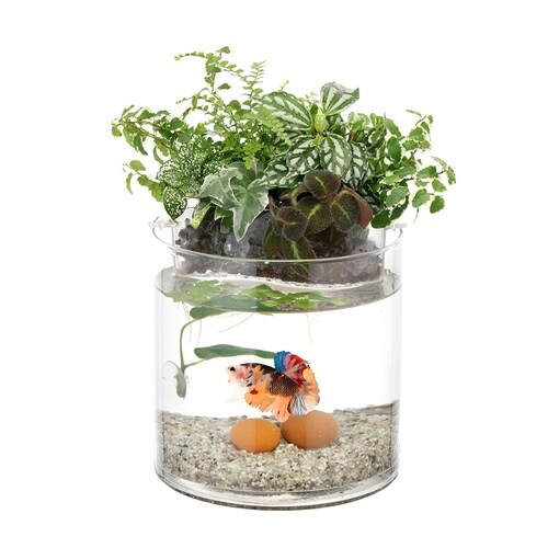 アクアテリアP150S(ショート)