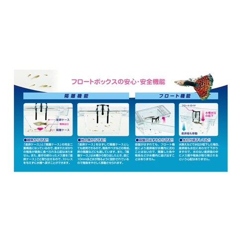 フロートボックス