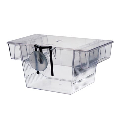 フロートボックス