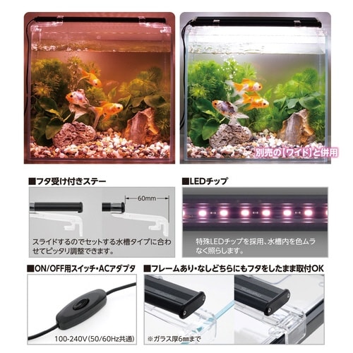 ライトアップSLIM300ナチュレホワイ×2