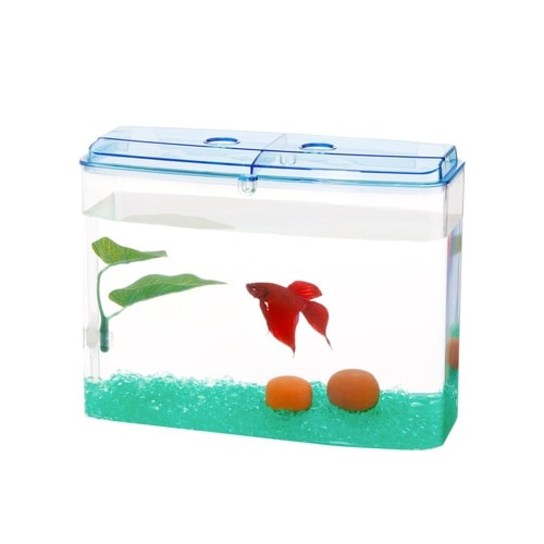 カラーサンドターコイズグリーン