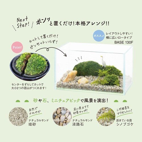 苔テラリウムキット