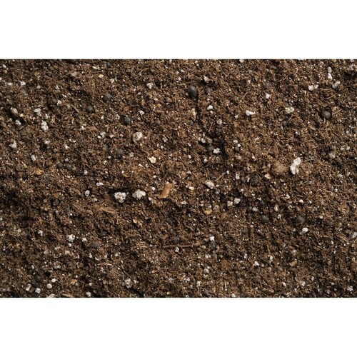 モデリングクレイ