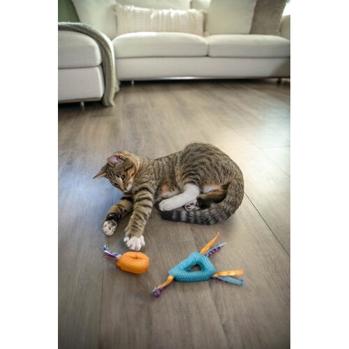 デンタル・ヘルス・チューズ(2ヶセット)