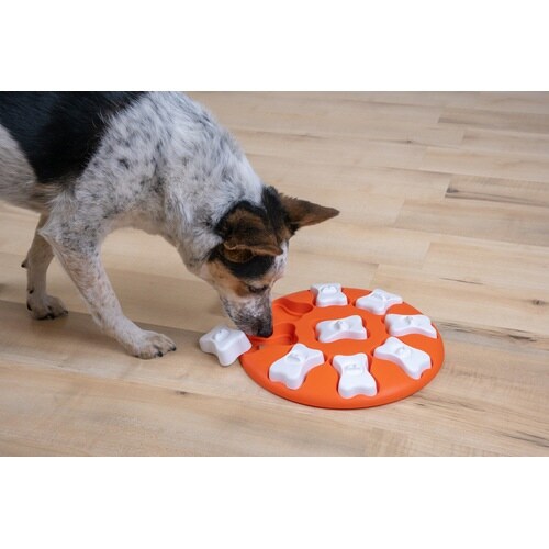 PTOT67331トリーツゲームサークル