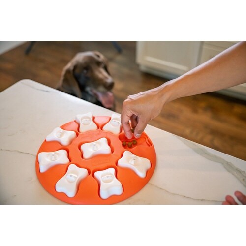 PTOT67331トリーツゲームサークル