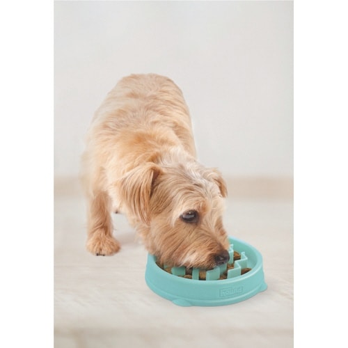 PTOW67829ファン&スロウフィーダ