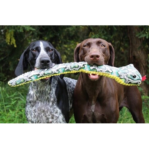 クランチトイスネイク