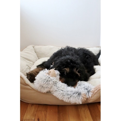 プラッシュトイイェティ