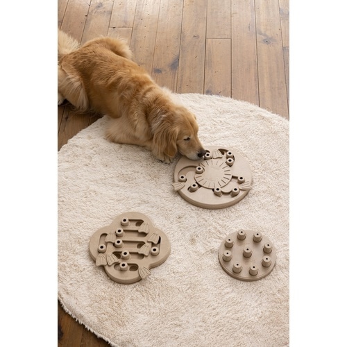 トリーツゲームハイドアンドスライド