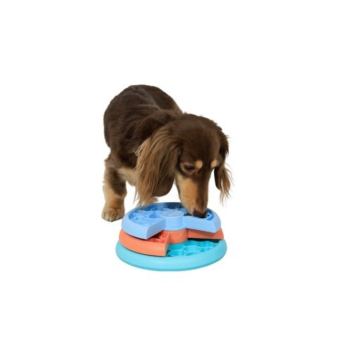 ミニリッキンレイヤーズ