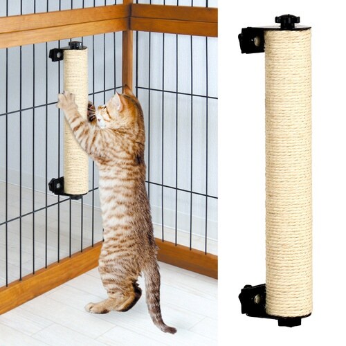 キャットわくわく